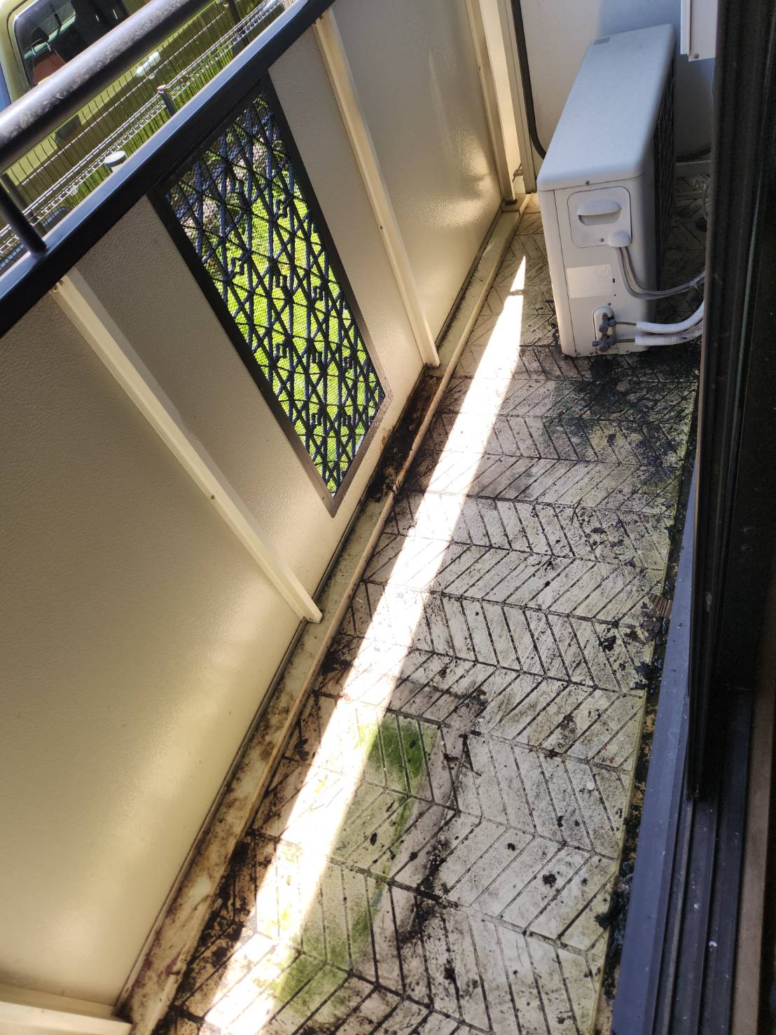 京都市伏見区　残置物撤去　不用品回収　遺品整理　堺市堺区　AZARS　アザース