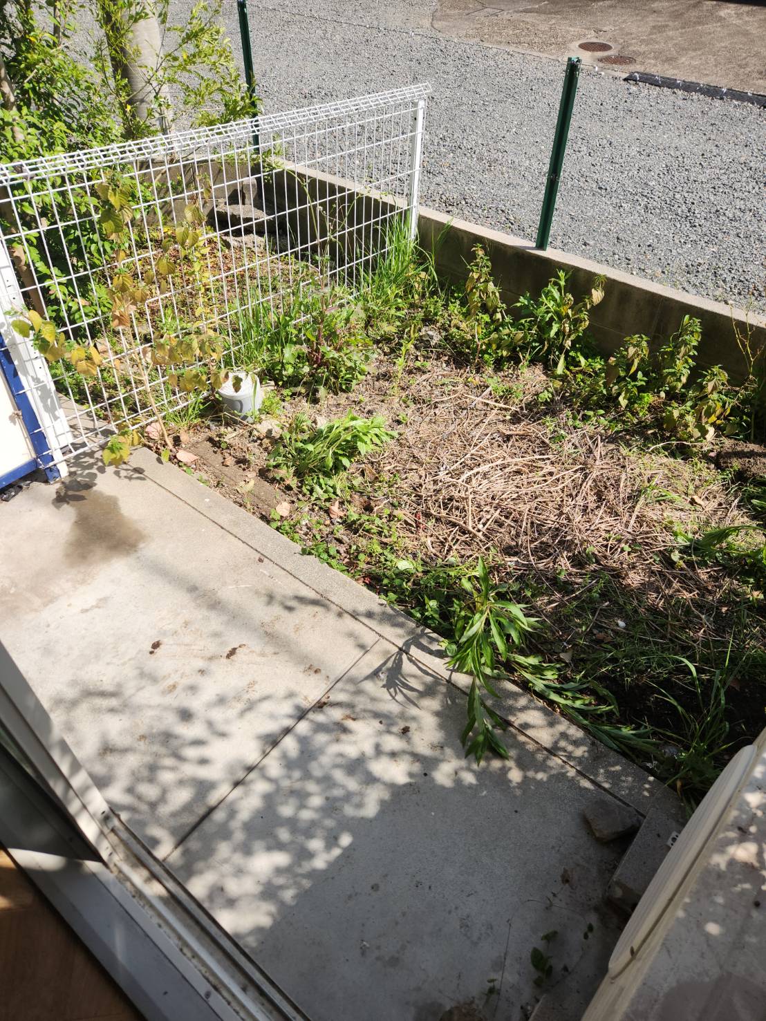 高槻市東五百住町　残置物撤去　不用品回収　遺品整理　堺市堺区　AZARS　アザース